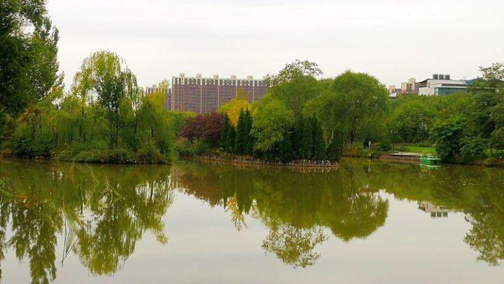 虫虫助手下载