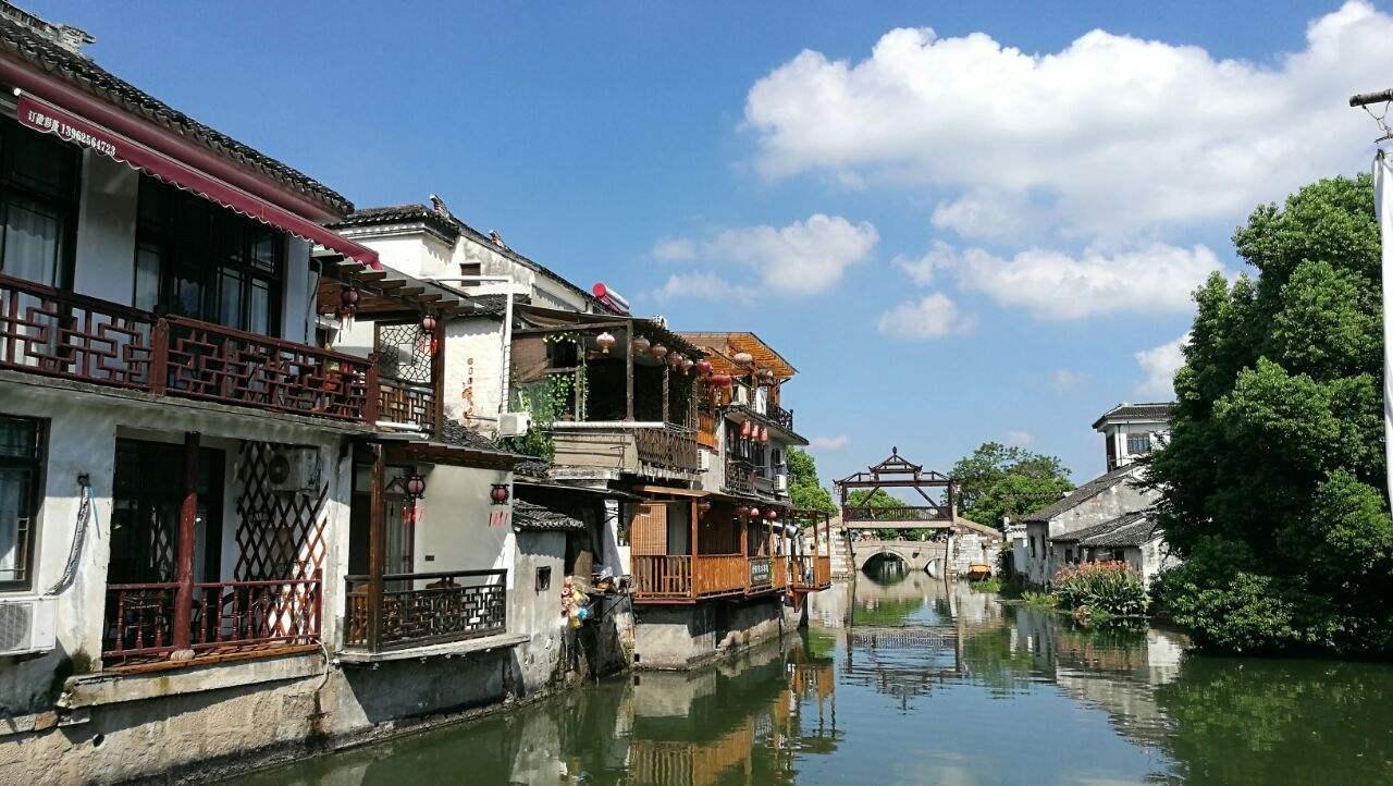 逃离仿真森林
