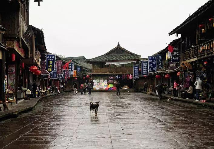 拯救精灵的土地6