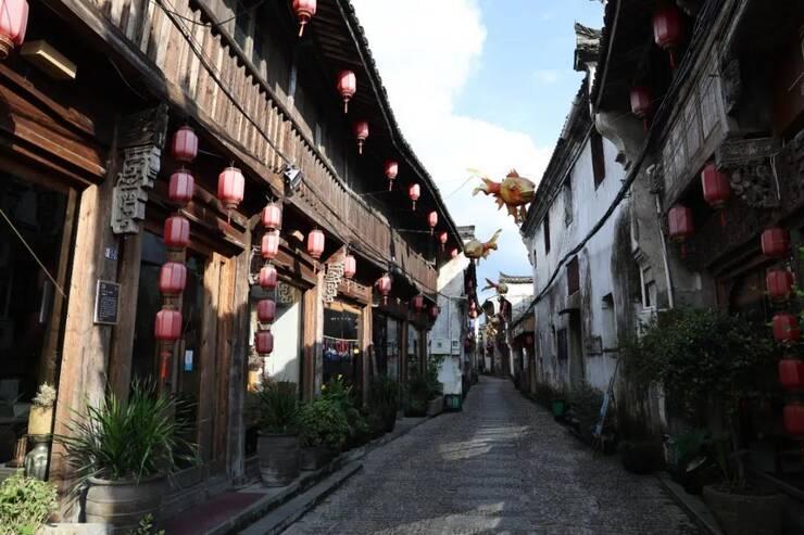 2024-2030年中国麦草畏行业调查与产业竞争格局报告